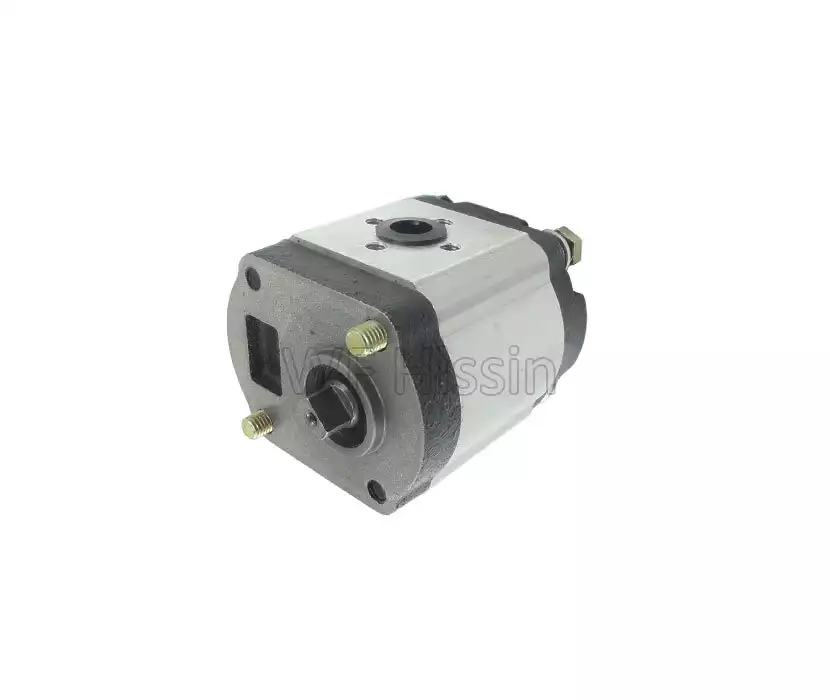 Gear pump FT224.58.012